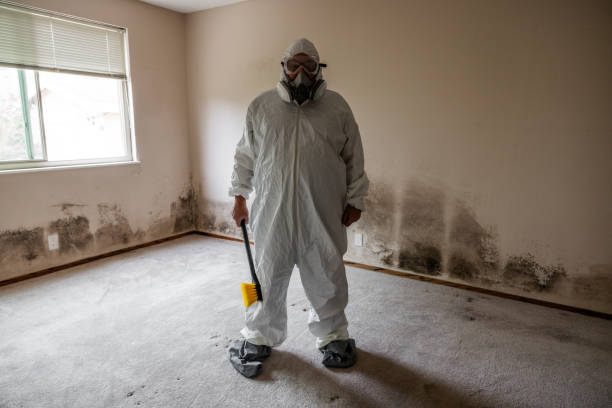Best Post-Construction Mold Inspection  in Ridgway, PA